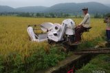 HKTI mendorong modernisasi pertanian untuk kesejateraan petani