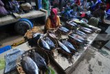 Pedagang menunggui ikan dagangannya di Pasar 17 Aguatis, Pamekasan, Jawa Timur, Kamis (25/1). Dalam sepekan terakhir harga ikan naik sekitar 35 persen dari sebelumnya karena pasokan ikan dari Pantura Jatim minim akibat musim angin barat. Antara Jatim/Saiful Bahri/zk/18.