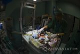  Ketua Tim Pusat Penanganan Kembar Siam Terpadu RSUD Dr Soetomo, Agus Harianto memeriksa kondisi bayi perempuan kembar siam dempet perut (omphalopagus) yang dirawat di RSUD dr Soetomo, Surabaya, Jawa Timur, Selasa (9/1). Bayi kembar siam yang lahir pada 8 Januari 2018 dan diberi nama Salma dan Sofia tersebut lahir secara prematur yaitu sekitar 37 dan 38 minggu dan memiliki berat 4.950 gram. Antara Jatim/Zabur Karuru/zk/18