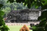  Pekerja dari Balai Pelestarian Cagar Budaya Trowulan membersihkan lumut yang tumbuh di relief candi Tegowangi menggunakan sapu lidi di Desa Tegowangi, Kediri, Jawa Timur, Kamis (11/1). Candi yang dibangun oleh Kerajaan Majapahit sekitar tahun 1400 masehi tersebut pada saat musim penghujan dilakukan pembersihan lumut secara kontinyu guna mencegah pelapukan relief. Antara Jatim/Prasetia Fauzani/zk/18 