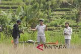 Anggota tim drone Pusat Vulkanologi dan Mitigasi Bencana Geologi (PVMBG) menerbangkan pesawat jenis AI450ER untuk memantau aktifitas Gunung Agung yang masih berstatus awas di Desa Selat, Karangasem, Bali, Selasa (23/1). Penerbangan pesawat tanpa awak itu rencananya untuk mengamati situasi kawah Gunung Agung dan berbagai gas yang keluar namun gagal karena pesawat hilang pada ketinggian sekitar 2.800 meter setelah mengitari kawah gunung tersebut. Antara Bali/Nyoman Budhiana/nym/2018.