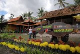 Wisatawan menikmati suasana di griya ekologi rumah adat suku osing di Kelir, Banyuwangi, Jawa Timur, Jumat (19/1). Rumah ekologi itu, dibangun untuk sarana edukasi mengenal lingkungan dan budaya seperti rumah adat suku osing yang tahan guncangan gempa. Antara Jatim/Budi Candra Setya/zk/18. 