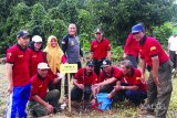 Jajaran Unit Pelaksana Teknis Kesatuan Pengelolaan Hutan Kabupaten Tabalong ikut serta dalam kegiatan penanaman pohon di MTs Ar Raudah Tanta, Jumat (26/01). Penanaman ini dalam rangka Hari Bumi yang dilaksanakan Dinas Lingkungan setempat. Foto:Antaranews Kalsel/Herlina Lasmianti/G. 