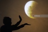 Warga berpose dengan latar gerhana bulan 'super blue blood moon' yang ditampilkan di layar saat gerhana tersebut terlihat dari Masjid Al-Akbar, Surabaya, Jawa Timur, Rabu (31/1). Antara Jatim/Zabur Karuru/zk/18