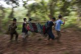 Sejumlah anggota tim penyelamat  International Animal Rescue (IAR) Indonesia membawa satu individu Orangutan saat diamankan dari kebun warga di Desa Riam Berasap, Kabupaten Kayong Utara, Kalbar, Kamis (4/1). Tim gabungan dari IAR Indonesia, BKSDA Kalbar dan Balai Taman Nasional  Gunung Palung (TNGP) berhasil memindahkan satu individu Orangutan Kalimantan (Pongo pygmaeus) dari kebun warga di desa Riam Berasap, Kabupaten Kayong Utara, ke dalam kawasan TNGP Ketapang. ANTARA FOTO/HO/Heribertus-IAR Indonesia/jhw/17