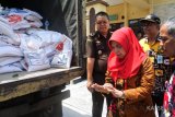 Ketua TP PKK Balangan, Hj. Nursidah Ansharuddin, saat melepas peluncuran pembagian beras sejahtera untuk masyarakat Kabupaten Balangan. Foto:Antaranews Kalsel/Roly Supriadi/G.