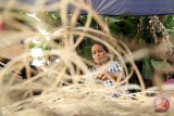 Seorang perempuan suku Sayak Benuaq meraut rotan yang merupakan hasil ladangnya di Kampung Eheng, Kabupaten Kutai Barat, Kalimantan Timur, Senin (1/1). Rotan yang sudah diraut itu nantinya akan dianyam menjadi Anjat atau tas punggung khas Dayak. ANTARA FOTO/Sugeng Hendratno/jhw/18

