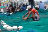 Nelayan memperbaiki jaring di Pelabuhan Ikan Muncar, Banyuwangi, Jawa Timur, Kamis (18/1). Sebagian besar nelayan yang menggunakan jaring tradisional di daerah tersebut, mengaku kecewa atas dicabutnya larangan penggunaan jaring cantrang yang dianggap akan merusak ekosistem bawah laut dan berdampak pada pendapatan nelayan tradisional. Antara Jatim/Budi Candra Setya/zk/18.