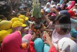 Sejumlah murid SD Muhammadiyah 15 Surabaya mengambil buah saat acara 'royokan' atau rebutan buah bergizi, di Surabaya, Jawa Timur, Kamis (25/1). Kegiatan yang diselenggarakan dalam rangka memperingati Hari Gizi Nasional yang ke-58 tersebut bertujuan untuk mengajarkan dan membiasakan para murid untuk mengkonsumsi makanan dan hidup sehat. Antara jatim/Moch Asim/zk/18