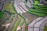 Lahan sawah terlihat dari ketinggian di Banyubiru, Kabupaten Semarang, Jawa Tengah, Minggu (14/1). Kementerian Pertanian mengalokasikan Rp710 miliar untuk rencana cetak sawah seluas 37.360 ha dalam RAPBN 2018. Antara Foto/Aditya Pradana Putra/nym/2018.