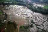 Foto udara lahan pertanian di wilayah Pandaan, Pasuruan, Jawa Timur, Minggu (21/1). Kementerian Pertanian menargetkan luas tambah tanam pada tahun 2018 dapat tercapai 16,8 juta hektar dengan luas panen mencapai 16,3 juta hektar. Antara Jatim/Umarul Faruq/zk/18