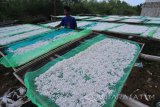 Pekerja menjemur teri nasi ekspor di Pantai Desa Pegagan, Pamekasan, Jawa Timur, Jumat (5/1). Nelayan mengeluhkan penurunan kualitas ikan teri nasi karena terkendala proses pengeringan. Antara Jatim/Saiful Bahri/mas/18.