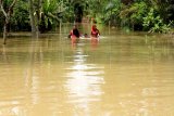 Foto Kemarin: Banjir Di Aceh Utara