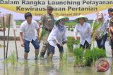 Pelayanan Kewirausahaan Petani