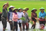 Pelayanan Kewirausahaan Petani