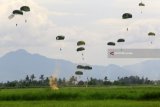 Personil Batalyon Komando 464/Paskas Pangkalan TNI AU Abdulrahman Saleh Malang melakukan aksi terjun payung di Bandara Banyuwangi, Jawa Timur, Selasa (13/2). Aksi terjun payung yang melibatkan 300 personil itu, dalam rangka terjun penyegaran untuk mengasah kemampuan personil sebelum melaksanakan latihan terjun taktis. Antara Jatim/Budi Candra Setya/zk/18.