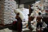 Pekerja mengangkut beras impor dari thailand di gudang Bulog Divre Jatim, Buduran, Sidoarjo, Jawa Timur, Senin (26/2). Pemerintah melalui Kementerian Perdagangan telah menerbitkan izin import beras sebanyak 500.000 ton  kepada Perum Bulog dengan tujuan untuk menstabilkan harga. Antara Jatim/Umarul Faruq/zk/18