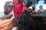 Buruh mengikat bibit rumput laut dipembibitan Pantai Jumiang, Pamekasan, Jawa Timur, Kamis (1/2). Buruh tersebut diupah Rp30.000 untuk mengikat sekitar 60 kg bibit rumput laut.  Antara Jatim/Saiful Bahri/18