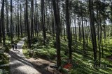 Pengunjung menikmati suasana kawasan Ecowisata Orchid Forest Cikole, Bandung, Jawa Barat, Kamis (22/2). Kepala Pusat Penelitian dan Pengembangan Hutan KLHK, Kirsfianti L Ginoga mengatakan hutan penelitian sebagai ekowisata harus mengandung unsur-unsur pariwisata seperti, aksesibilitas, atribut, akseptabilitas dan atraksi. ANTARA JABAR/Khairizal Maris/agr18