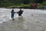 Dua guru menyeberangi Sungai Deluwang di Desa Gunung Malang, Suboh, Situbondo, Jawa Timur, Kamis (12/2). Sebanyak enam orang guru dan kepala sekolah setiap hari harus menyeberangi Sungai Deluwang selebar 250 meter untuk mengajar di SDN 4 Gunung Malang karena belum adanya akses jalan atau jembatan ke Dusun Taker. Antara Jatim/Seno/zk/18.