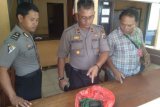 Pekerja bangunan di Jayapura temukan granat peninggalan PD II