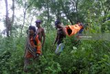 Tim sar gabungan menggotong korban longsor, Nasumi sejauh 8 kilometer di Desa Kayumas, Arjasa, Situbondo, Jawa Timur, Minggu (25/2). Tanah longsor setinggi 70 meter terjadi di Petak 23, KRPH Kayumas, Perum Perhutani Kesatuan Pemangkuan Hutan Bondowoso menyebabkan satu orang meninggal dunia dan satu orang selamat, saat bercocok tanam jagung. Antara Jatim/Seno/zk/18.