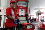 Pertamina nyatakan belum ada kebijakan hapus premium