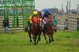 Joki memacu kuda tunggangannya saat mengikuti kejuaraan pacuan kuda tingkat nasional Piala Menpora di lapangan Banar, Wonoayu, Sidoarjo, Jawa Timur, Jumat (2/2). Kejuaraan yang diikuti 100 peserta se Jawa-Bali tersebut bertujuan menggali potensi untuk menjadi atlet berkuda di ajang regional, nasional, dan internasional. Antara jatim/Umarul Faruq/zk/18