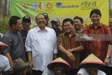 Menteri Koperasi dan UKM Anak Agung Gede Ngurah Puspayoga (kedua kiri)  berbincang dengan Komisaris GarudaFood Group Hartono Atmadja (kanan), Ketua Komisi Pemberdayaan Ekonomi Umat MUI Azrul Tanjung (kedua kanan) dan Bupati Bojonegoro Suyoto (kiri) saat panen raya perdana kacang tanah di Bojonegoro, Jawa Timur, Senin (5/2). Panen tersebut merupakan tindak lanjut program Aribisnis Kacang Nasional pada Oktober 2017 lalu dengan sistem kerja sama bagi hasil antara Perhutani, Lembaga Masyarakat Desa Hutan dengan MUI dan pendampingan budi daya dari GarudaFood. Antara Jatim/Zabur Karuru/zk/18