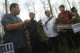 Menteri Koperasi dan UKM Anak Agung Gede Ngurah Puspayoga (tengah)  bersama Komisaris GarudaFood Group Hartono Atmadja (kedua kanan) dan Bupati Bojonegoro Suyoto (kiri) memanen kacang tanah saat panen raya perdana kacang tanah di Bojonegoro, Jawa Timur, Senin (5/2). Panen tersebut merupakan tindak lanjut program Aribisnis Kacang Nasional pada Oktober 2017 lalu dengan sistem kerja sama bagi hasil antara Perhutani, Lembaga Masyarakat Desa Hutan dengan MUI dan pendampingan budi daya dari GarudaFood. Antara Jatim/Zabur Karuru/zk/18