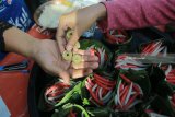Transaksi menggunakan uang kuno di pasar jajanan tradisional di Desa Wisiata Kemiren, Banyuwangi, Jawa Timur, Minggu (4/2). Pasar yang menjual makanan tradisional suku Osing yang diadakan setiap hari minggu itu, pembeli harus menggunakan kepeng atau kepingan uang kuno untuk bertransaksi. Antara jatim/Budi Candra Setya/zk/18.