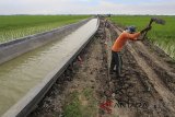 Pekerja menyelesaikan perbaikan saluran irigasi di desa Balongan, Indramayu, Jawa Barat, Sabtu (17/2). Untuk mendukung program swasembada pangan, Kementerian Pekerjaan Umum dan Perumahan Rakyat (PUPR) menargetkan perluasan saluran irigasi sebanyak satu juta hektar dan merehabilitasi tiga juta hektar saluran irigasi yang rencananya selesai pada 2019 mendatang. ANTARA JABAR/Dedhez Anggara/agr/18.