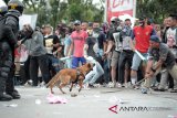 Seekor anjing dari Unit Satwa Detasemen K-9 Polda Kalbar melakukan simulasi pengamanan Pilkada Kalbar serentak 2018 di Sungai Kapuas, Pontianak, Selasa (6/2). Polda Kalbar mengerahkan 4.337 personil kepolisian untuk mengawal dan mengamankan penyelenggaraan Pilkada Kalbar 2018. ANTARA FOTO/Jessica Helena Wuysang/18