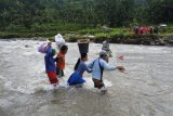 Warga menyeberangi Sungai Deluwang di Desa Gunung Malang, Suboh, Situbondo, Jawa Timur, Kamis (12/2). Sebanyak 250 jiwa atau 170 kepala keluarga di Dusun Taker itu setiap hari harus menyeberangi Sungai Deluwang selebar 250 meter untuk beraktivitas keluar masuk dusun karena belum adanya akses jalan atau jembatan, dan tidak adanya puskesmas pembantu di dusun tersebut. Antara Jatim/Seno/18.