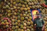 Petugas berjaga di tumpeng raksasa yang terbuat dari buah durian saat pesta durian 