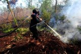 Seorang polisi wanita memadamkan api yang membakar lahan gambut dekat pemukiman warga di kelurahan Tanjung Palas kota Dumai, Dumai, Riau, Senin (26/2). Anggota kepolisian sektor Dumai Timur memadamkan api yang membakar lahan gambut dekat pemukiman warga dan obyek vital nasional seperti bandara dan kilang minyak.