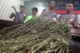 Wakapolres Aceh Timur Kompol Apriadi (kanan) memperlihatkan tersangka HS (53) dan barang bukti ganja kering saat pers rilis di Mapolres Aceh Timur, Aceh, Senin (26/2). Tim Opsnal Satresnarkoba Polres Aceh Timur berhasil mengamankan HS beserta barang bukti ganja kering sebanyak tiga kilogram di Desa Tanjong, Kecamatan Idi Rayeuk pada Senin (19/2). 