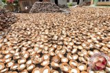 Arang tempurung Minahasa Tenggara  diekspor ke Tiongkok
