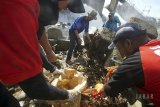 Sejumlah relawan pecinta lingkungan membersihkan sampah di aliran Sungai Ciliwung Bendung Katulampa, Bogor, Jawa Barat, Sabtu (31/3). Aksi bersih sampah yang dilakukan Komunitas Pecinta Alam Laskar Karung dan Pecinta Sungai Ciliwung tersebut sebagai bentuk kepedulian terhadap lingkungan agar aliran sungai yang melintas di Bendung Katulampa terbebas dari sampah yang menjadi salah satu penyebab banjir. ANTARA JABAR/Yulius Satria Wijaya/agr/18.