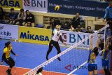 Pebola voli putri Bandung Bank BJB Pakuan Dian Wijayanti (kedua kiri) melepas smes ke tim voli putri Bekasi BVN saat pertandingan Proliga 2018 seri III putaran kedua di GOR C'Tra Arena, Bandung, Jawa Barat, Jumat (16/3). Tim bola voli putri Bandung Bank BJB Pakuan berhasil memenangkan pertandingan dengan skor akhir 3-0 (25-12, 25-13, 25-12). ANTARA JABAR/M Agung Rajasa/agr/18