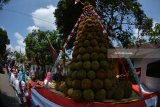 Warga mengarak gunungan durian yang akan dipajang di Lapangan Sumberjambe, Jember, Jawa Timur, Sabtu (31/3). Puluhan gunungan durian merupakan rangkaian dari kegiatan sedekah bumi yang digelar warga setempat sebagai wujud syukur atas hasil bumi yang melimpah. Antara Jatim/Seno/zk/18.