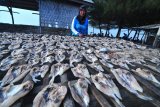 Warga menjemur ikan di Pantai Desa Tanjung, Pamekasan, Jawa Timur,  Selasa (20/3). Dalam satu bulan terakhir harga ikan kering naik sekitar 30 persen dari sebelumnya menyusul tingginya permintaan dari sejumlah daerah di Jateng. Antara Jatim/Saiful Bahri/zk/18