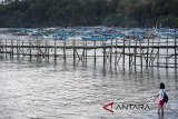 Wisatawan menikmati suasana pesisir pantai timur di Pangandaran, Jawa Barat, Rabu (28/3). Pemerintah Provinsi Jawa Barat mendorong Kabupaten Pangandaran menjadi sektor dominan dalam kontribusi pariwisata dan tengah mempersiapkan kawasan ekonomi khusus (KEK) Pariwisata seluas 196 hektar. ANTARA JABAR/M Agung Rajasa/agr/18