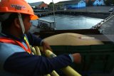 Pekerja mengontrol bongkar muat kedelai impor di Pelabuhan Tanjung Wangi, Banyuwangi, Jawa Timur, Jumat (23/3). Sekitar 10.422 ton kedelai impor dari Amerika tersebut, untuk memenuhi kebutuhan kedelai dalam negeri khususnyan bagi perajin tahu dan tempe. Antara Jatim/Budi Candra Setya/zk/18.