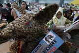 Pengunjung mengamati berbagai macam karya tulis Majalah Dinding tiga dimensi (mading 3D) dengan tema 'A Fight Against Corruption' di Convention Hall Simpang Lima Gumul, Kediri, Jawa Timur, Sabtu (10/3). Kontes Mading 3D yang diikuti oleh pelajar tingkat SMP dan SMA se Karesidenan Kediri tersebut sebagai wahana mengembangkan kreatifitas di bidang karya tulis dan seni rupa. Antara Jatim/Prasetia Fauzani/zk/18