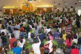 Umat Katolik se-Dunia rayakan Minggu Palma