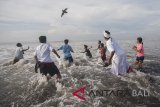 Umat Hindu melempar hewan kurban ke laut pada puncak ritual Melasti menjelang Hari Raya Nyepi Tahun Saka 1940 di Pantai Purnama, Gianyar, Bali, Rabu (14/3). Ritual tahunan tersebut berlangsung selama tiga hari secara bergantian yang sebagian besar digelar di pantai, danau dan sungai di seluruh Bali untuk penyucian alam sehingga Hari Raya Nyepi dapat berjalan hening serta damai. Antaranews Bali/Nyoman Budhiana/2018.