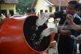 Petugas memusnahkan barang bukti pill PCC hasil penggerebekan di Polsek Wonoayu, Sidoarjo, Jawa Timur, Kamis (1/3). Barang bukti berupa pil somadril, carisoprodol (PCC) paracetamol, cafein sebanyak 72 Dos berisi 5.355.000 butir tersebut dimusnahkan dengan cara digiling dengan mesin. Antara Jatim/Umarul Faruq/zk/18