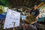 Petugas Perusahaan Daerah (PD) Kebersihan mengolah sampah organik di tempat pembuangan sampah terpadu (TPST) Babakan Sari, Bandung, Jawa Barat, Selasa (20/3). Sebanyak satu ton sampah organik dari delapan TPST di Kota Bandung dapat menghasilkan 238 karung pupuk kompos dan proses yang dapat mereduksi sampah organik ke TPA sekitar 336,5 meter kubik per hari. ANTARA JABAR/Raisan Al Farisi/agr/18