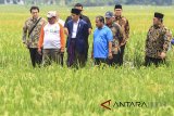 Presiden Joko Widodo (Kelima kanan) bersama Menteri Agama Lukman Hakim (dua kanan), Menteri Pekerjaan Umum dan Perumahan Rakyat Basuki Hadimuljono (tiga kanan) dan Gubernur Jawa Barat Ahmad Heryawan ( kanan) meninjau pelaksanaan padat karya tunai di Kempek, Palimanan, Cirebon, Jawa Barat, Minggu (11/3). Program padat karya berupa pembangunan saluran irigasi tersebut untuk meningkatkan produksi pertanian dan daya beli masyarakat yang ada di Desa. ANTARA JABAR/Dedhez Anggara/agr/18.